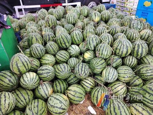 吃瓜宁波中学,揭秘校园里的热点追踪