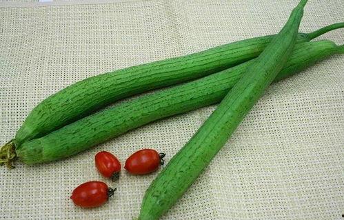 白玟社区吃瓜,一场吃瓜盛宴背后的社区生活画卷