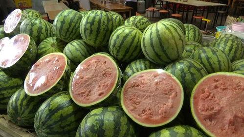 自由吃瓜基地的,揭秘网络舆论场的狂欢与反思