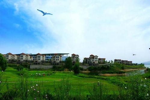 莱芜雪野湖吃瓜,尽享清凉时光