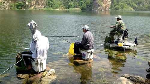 吃瓜科学钓鱼,如何用吃瓜心态轻松钓鱼