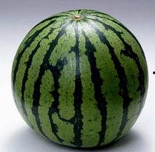 料吃瓜网,娱乐圈幕后真相大曝光！