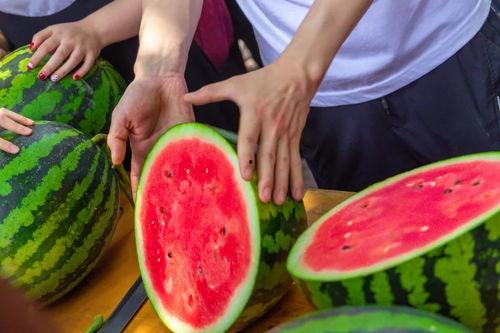 广西吃瓜自由,畅享夏日“吃瓜自由”，解锁地方特色美食之旅