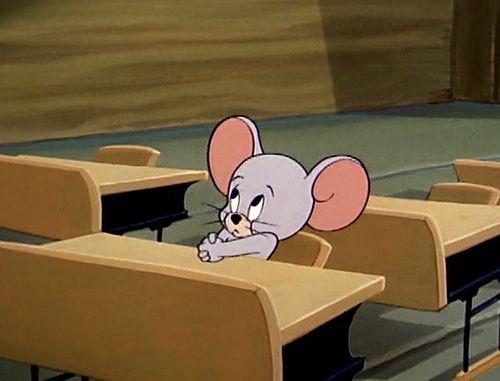 自由吃瓜基地 唯美,探寻唯美生活的秘密花园