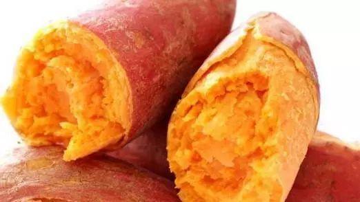 梦见吃瓜浆地瓜,瓜浆地瓜的奇幻之旅