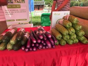 吃瓜聚集点,揭秘网络“吃瓜”聚集地的热点与奥秘