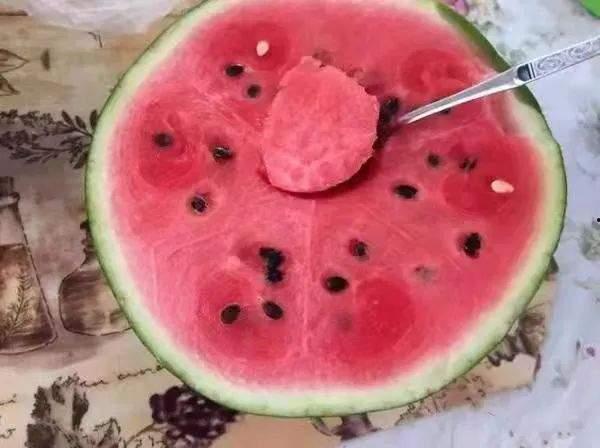 老汉瓜适合什么气候吃,适宜气候下的美味佳肴