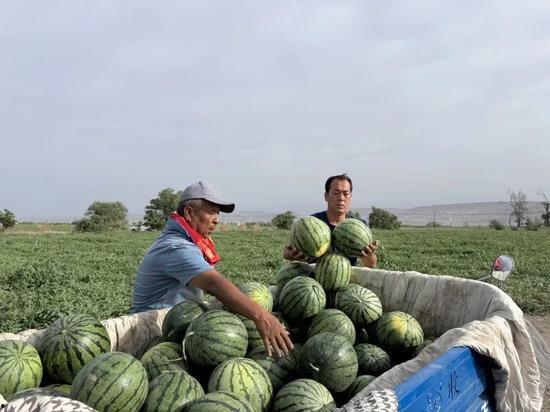 东北亚吃瓜,一网打尽各路“瓜王”