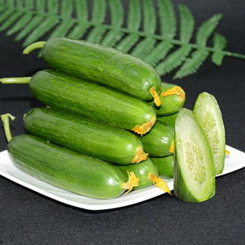 小瓜哪种吃爽口,夏日清凉一夏