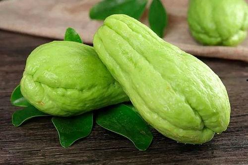 瓜田月下吃瓜,共享瓜果之乐