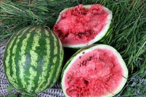 哪个地方可以吃瓜,瓜果飘香，尽享夏日清凉时光