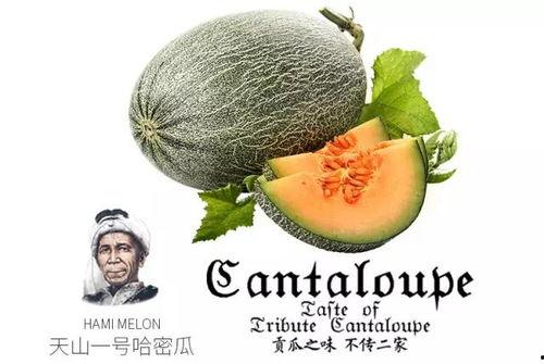 公主吃瓜心声人参,揭秘宫廷中的“人参”之谜