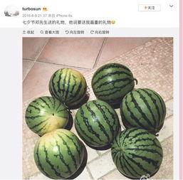 站在吃瓜前,揭秘吃瓜群众背后的故事