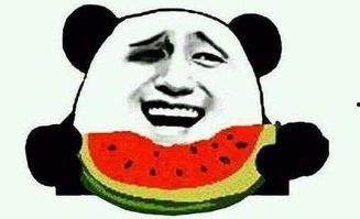 不让吃瓜变吃人,揭秘网络舆论的演变与影响