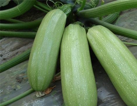 痛风吃三瓜好吗,三瓜助力缓解痛风不适