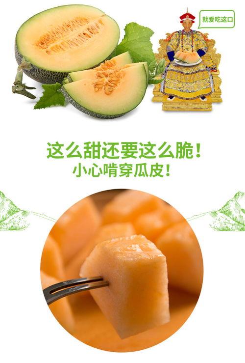 伴奏吃蜜瓜,瓜香四溢——跟随伴奏品味蜜瓜时光