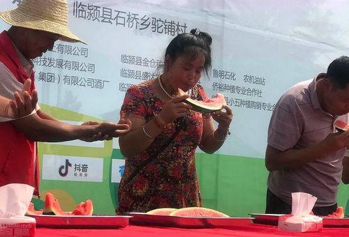 丽江吃瓜大赛在哪举行,瓜香四溢的狂欢盛宴地点大揭秘