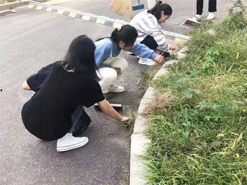 青岛黄海吃瓜事件,一场校园风波的真相与反思