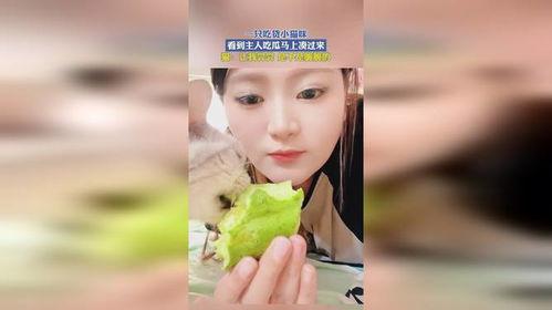 吃货主播吃小瓜,吃货主播挑战小瓜美食盛宴