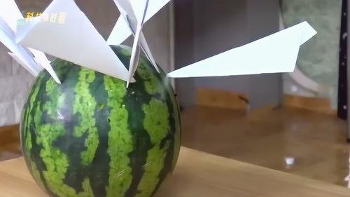 纸飞机吃瓜连接,一场创意无限的故事之旅