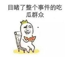 吃瓜群众的事件,揭秘事件背后的真相与争议