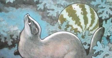 田里的猹吃瓜,夏日田园风光无限