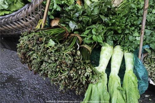 给河南阿姨吃瓜,夏日清凉生活新风尚