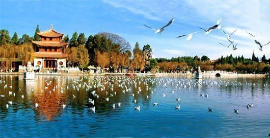 吃瓜昆明公园,吃瓜群众的欢乐聚集地