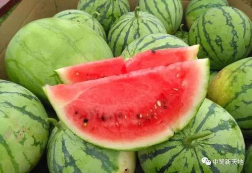 首日吃瓜,揭秘娱乐圈幕后风云