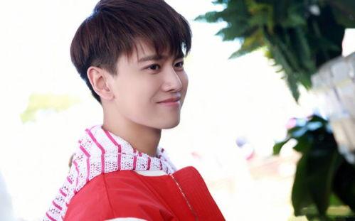 吃瓜任嘉伦老婆,吃瓜群众眼中的甜蜜爱情故事